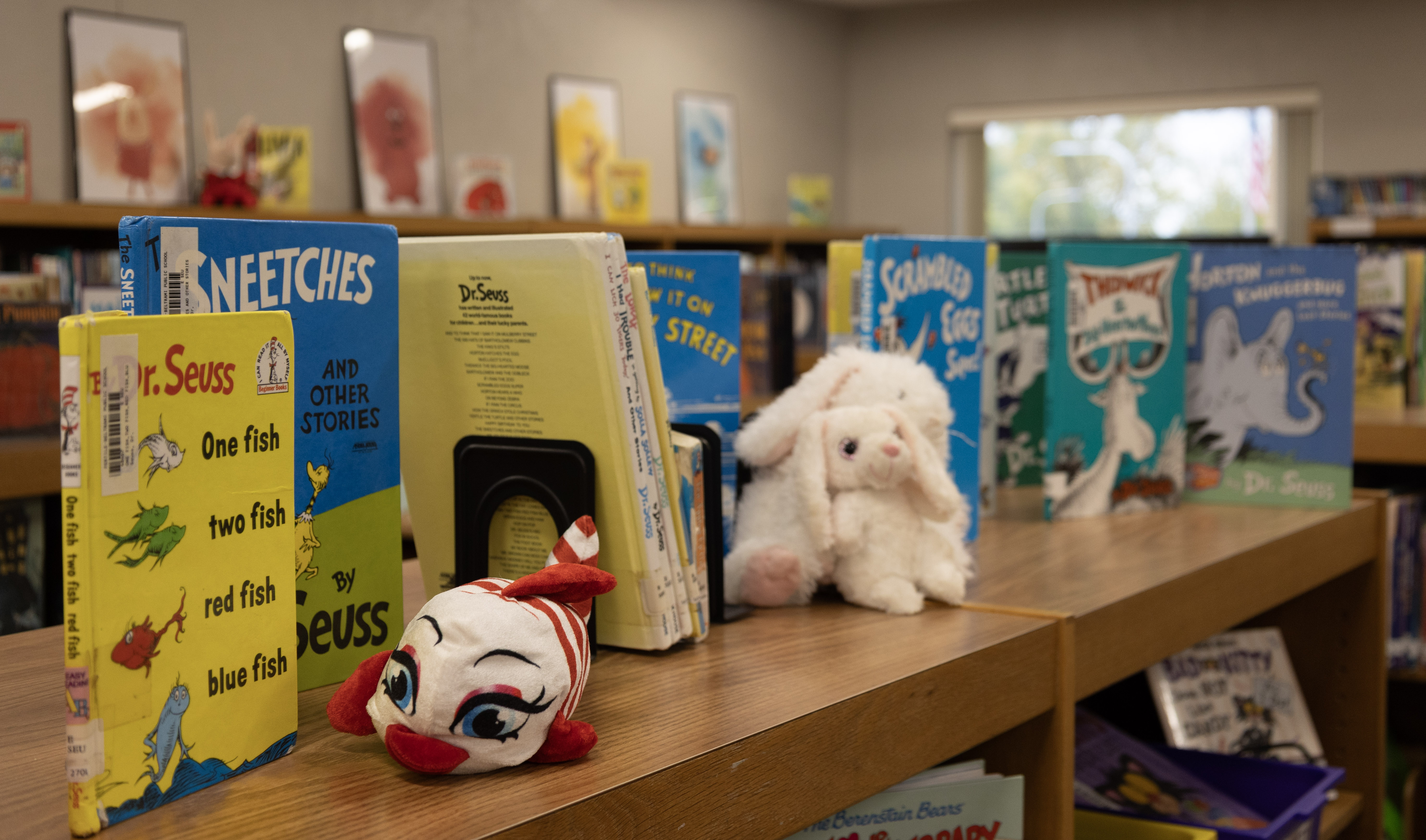 Fertile-Beltrami library